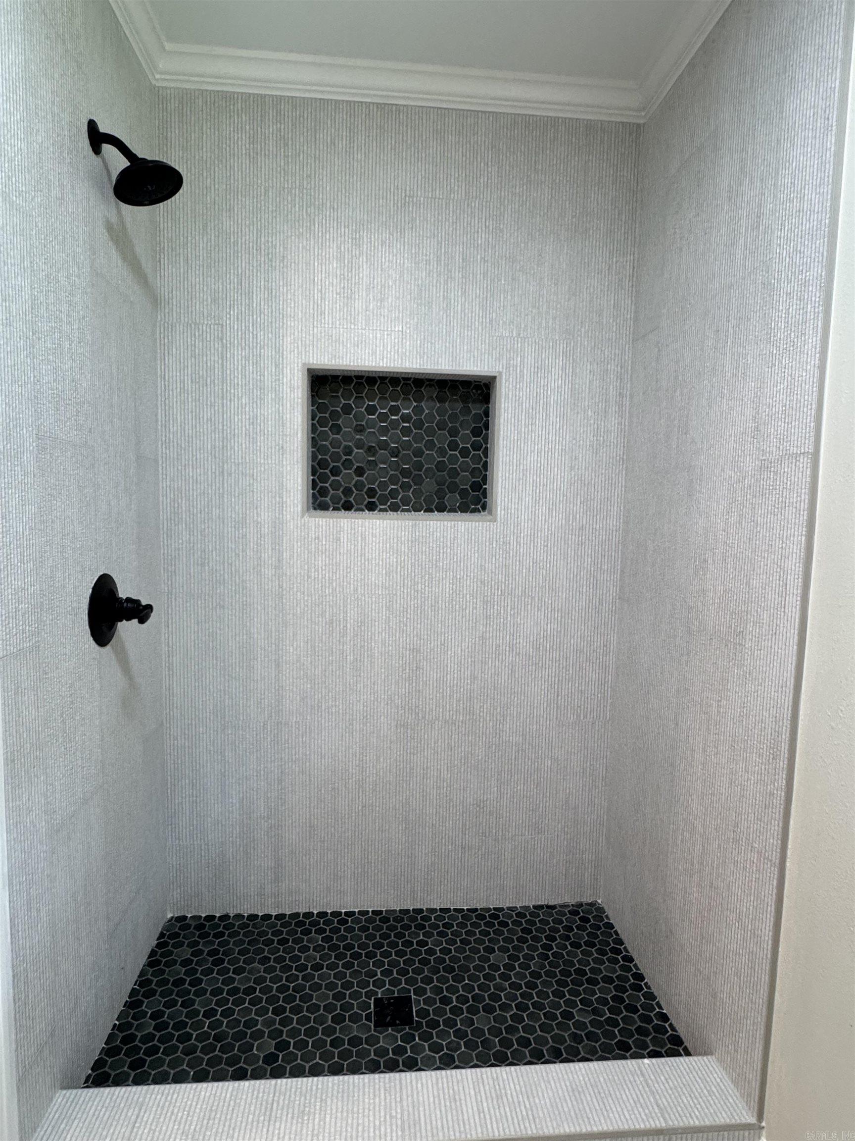 Guest Bath Walk-in Shower