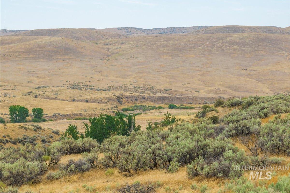 9737 N Springer Ln, Eagle, Idaho 83616, ,Land,For Sale,9737 N Springer Ln,98866839