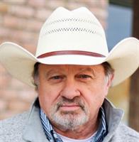 Darrel D Holman