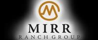 alt="Mirr