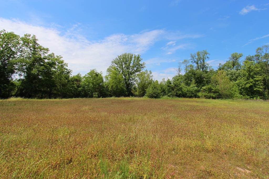 4080  Dave Ward  Conway, AR