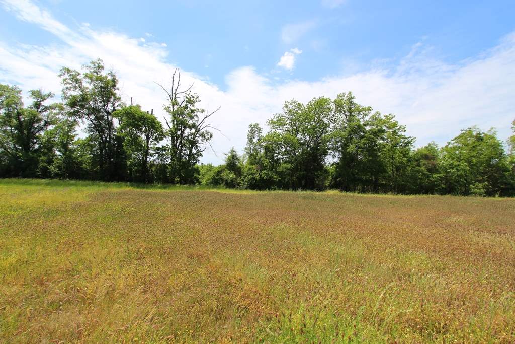 4080  Dave Ward  Conway, AR