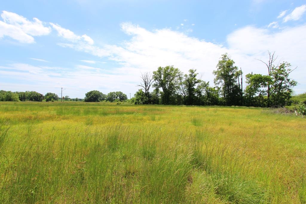 4080  Dave Ward  Conway, AR