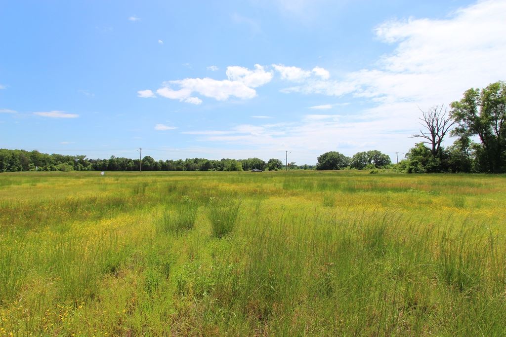 4080  Dave Ward  Conway, AR