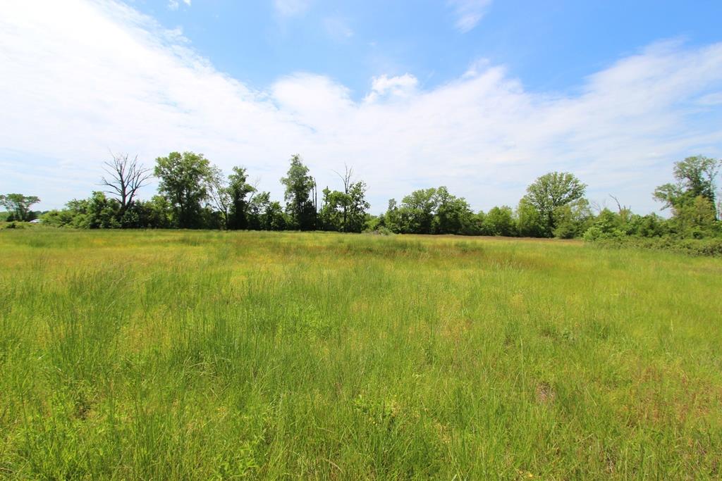 4080  Dave Ward  Conway, AR