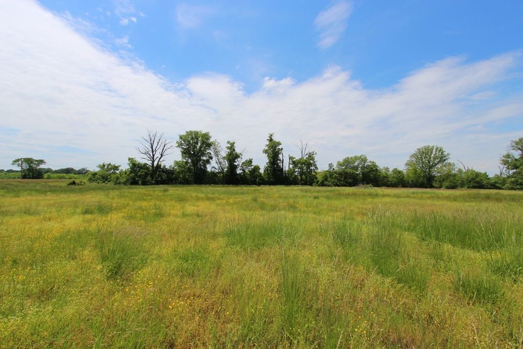 4080  Dave Ward  Conway, AR