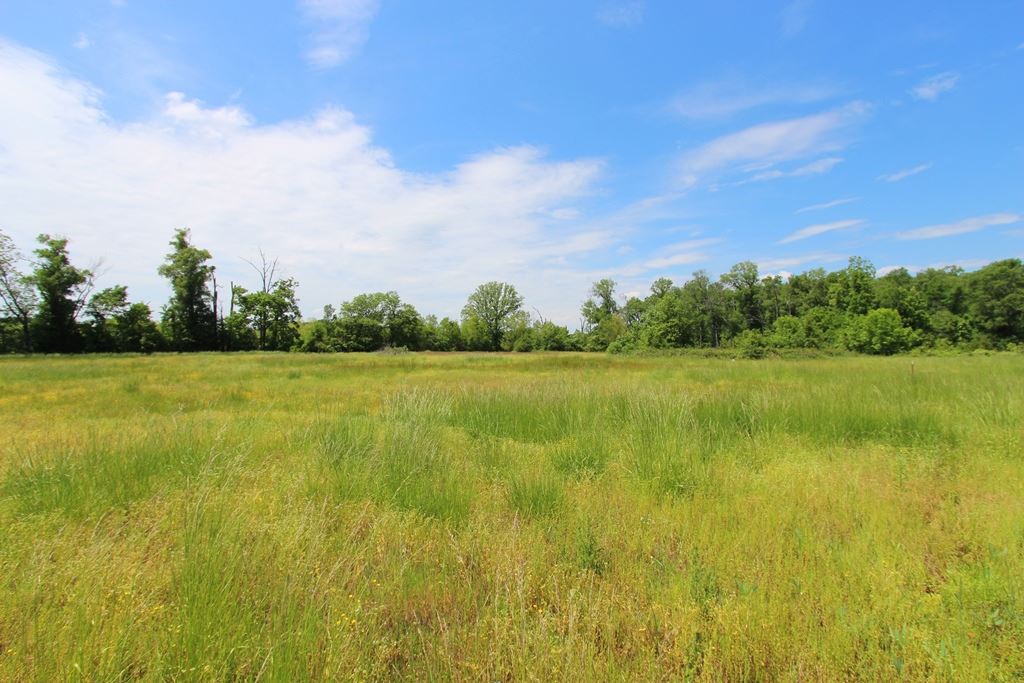 4080  Dave Ward  Conway, AR