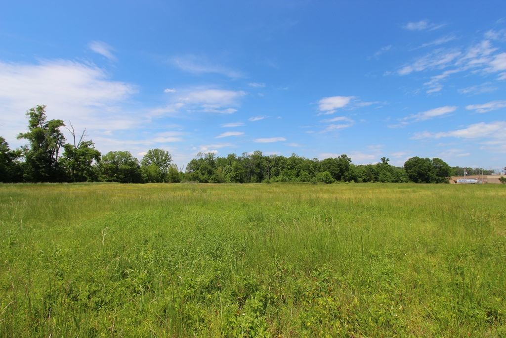 4080  Dave Ward  Conway, AR
