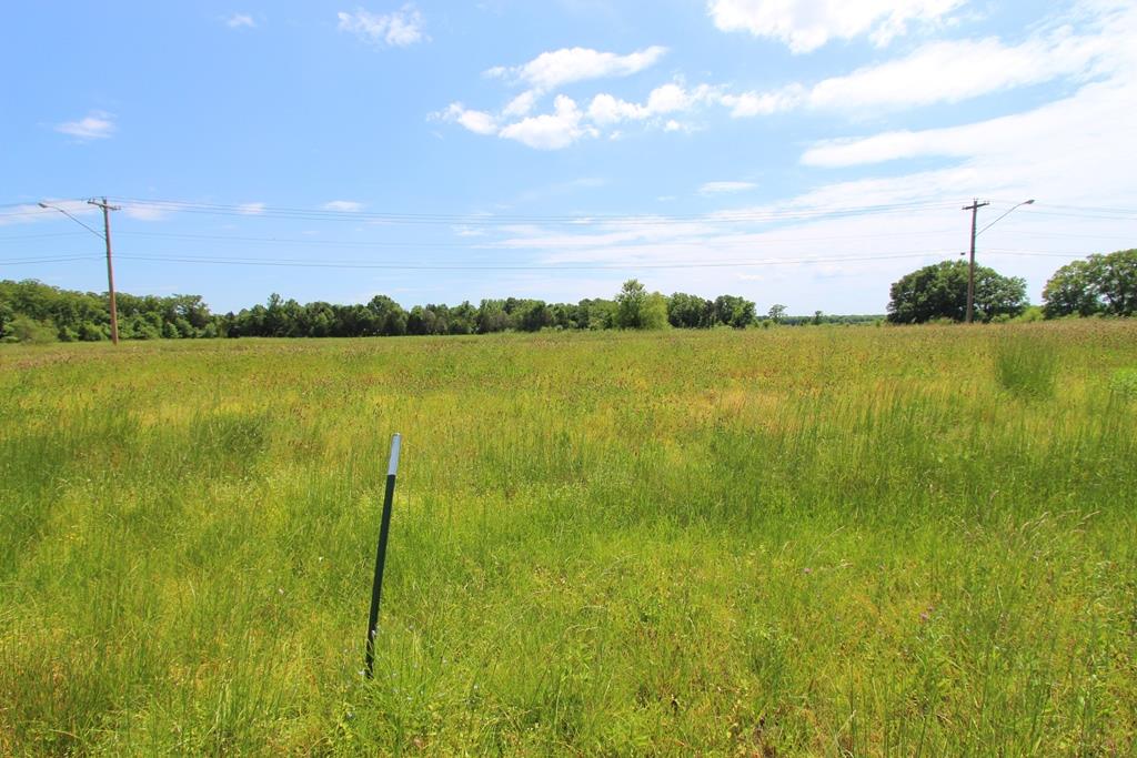 4080  Dave Ward  Conway, AR