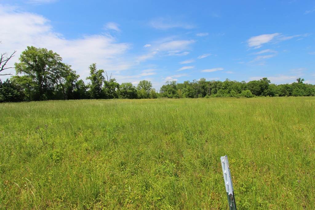 4080  Dave Ward  Conway, AR
