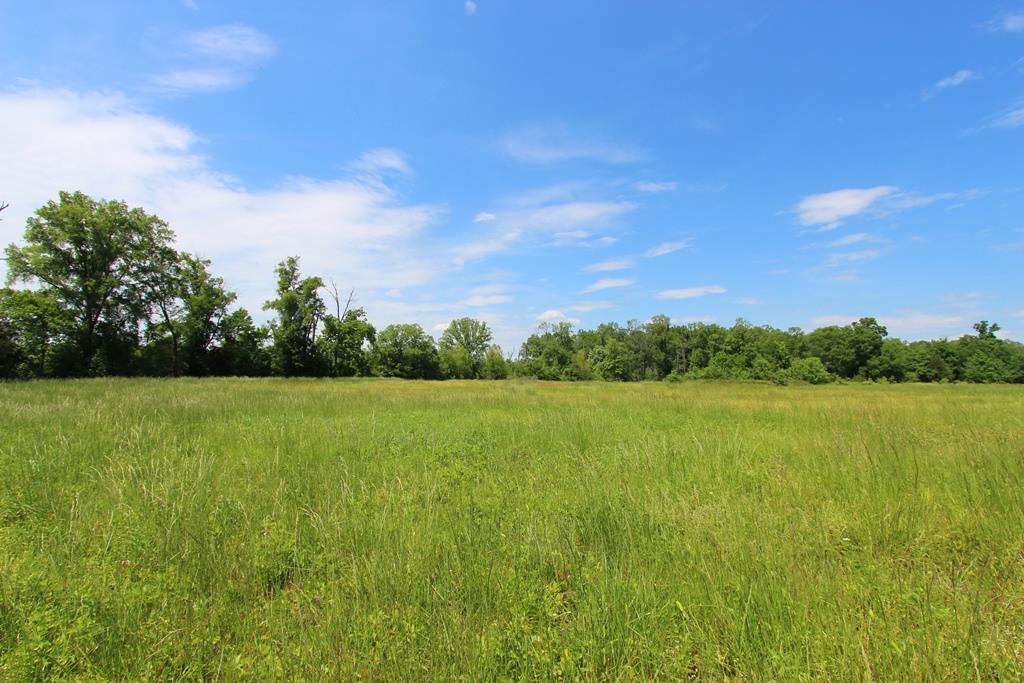 4080  Dave Ward  Conway, AR