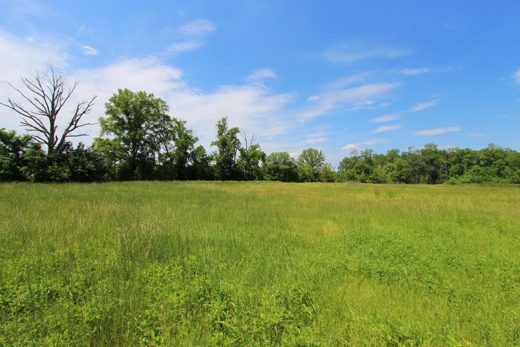 4080  Dave Ward  Conway, AR