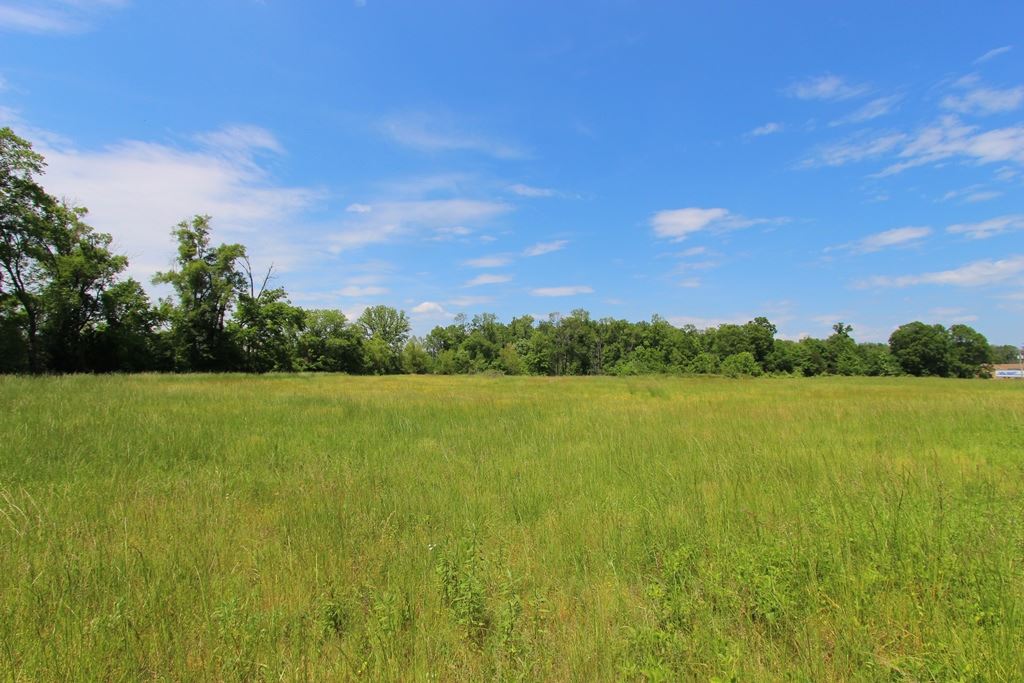 4080  Dave Ward  Conway, AR