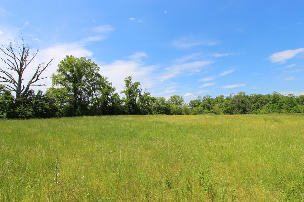 4080  Dave Ward  Conway, AR