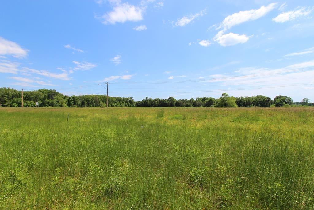 4080  Dave Ward  Conway, AR