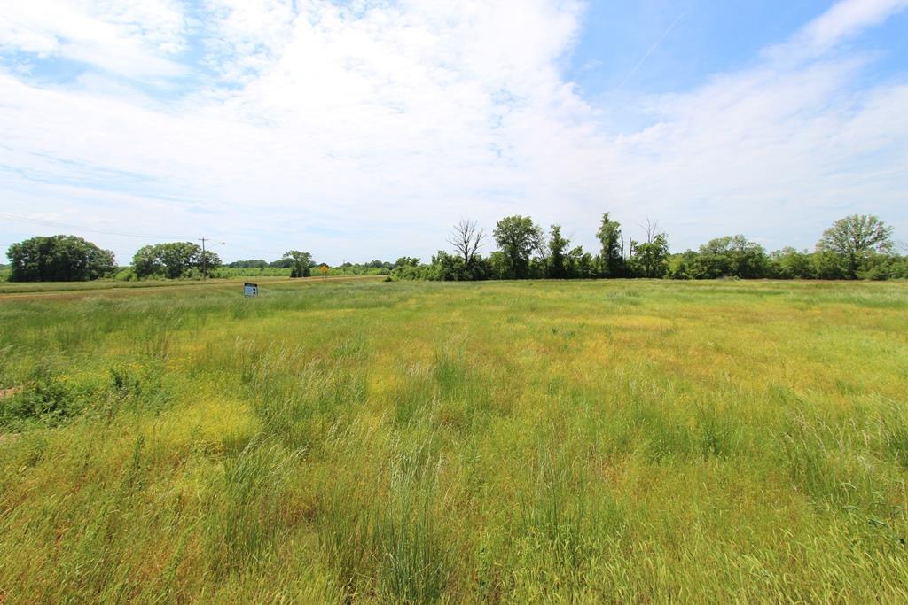 4040  Dave Ward  Conway, AR