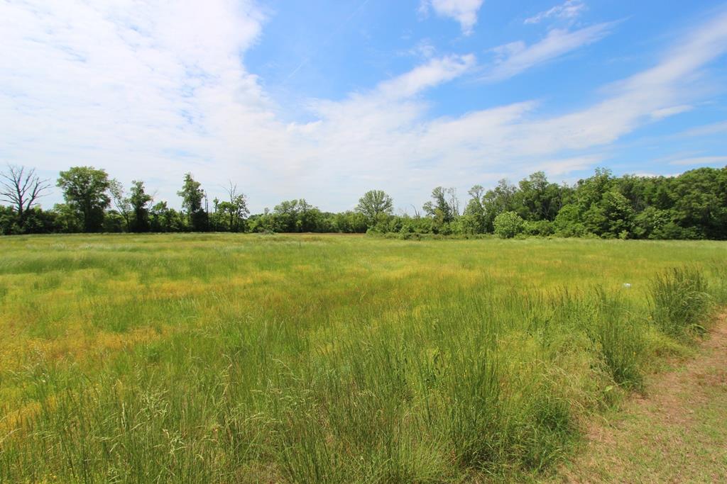 4040  Dave Ward  Conway, AR