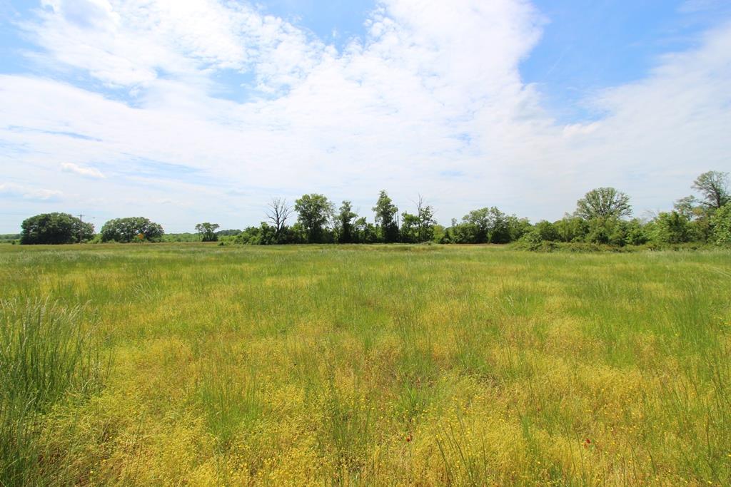 4040  Dave Ward  Conway, AR