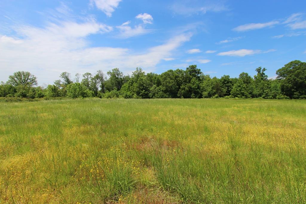 4040  Dave Ward  Conway, AR