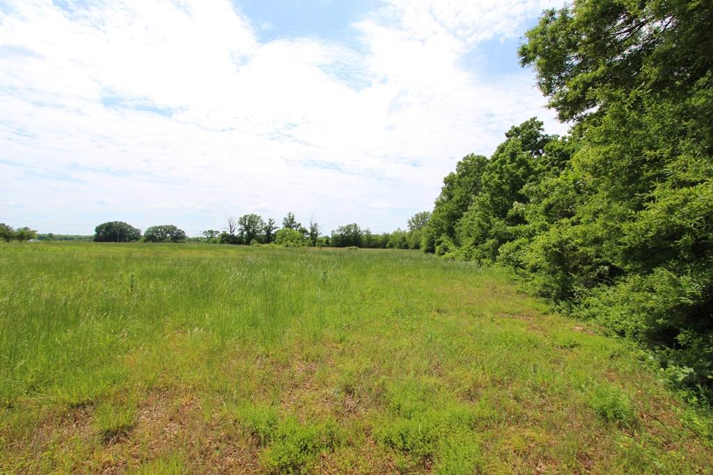 4040  Dave Ward  Conway, AR