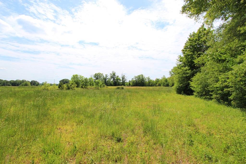 4040  Dave Ward  Conway, AR
