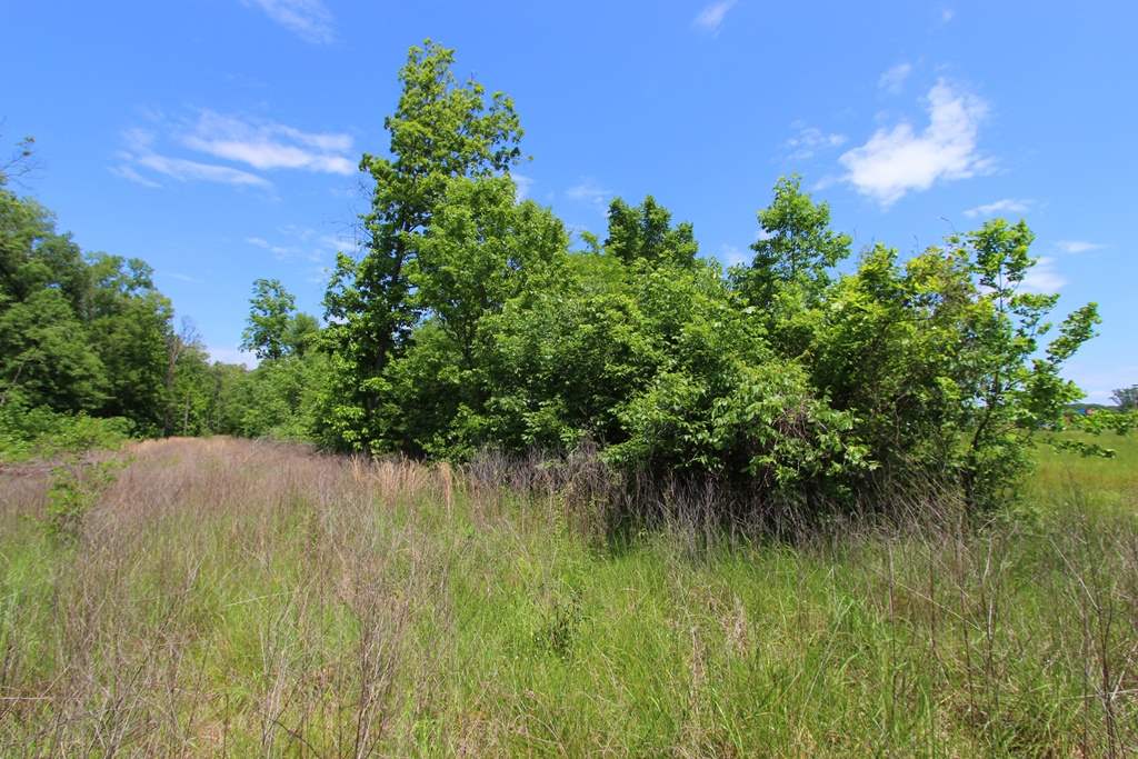 4040  Dave Ward  Conway, AR