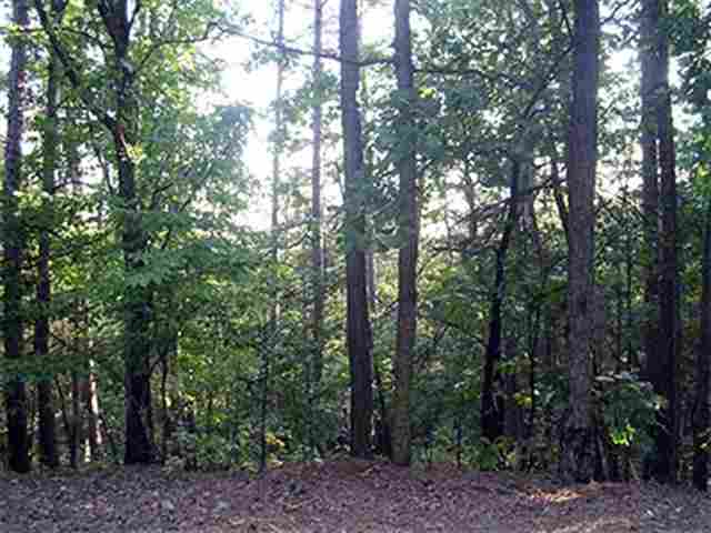 20  Tamayo  Hot Springs Village, AR