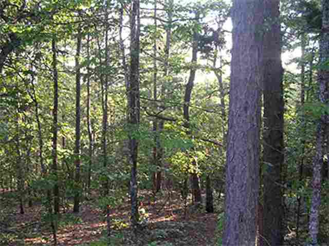 20  Tamayo  Hot Springs Village, AR