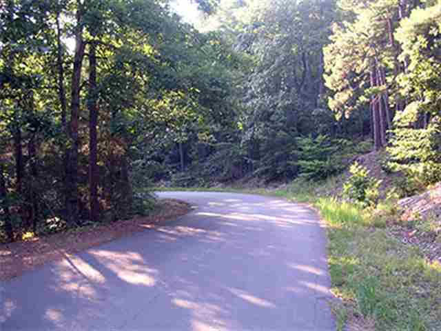 20  Tamayo  Hot Springs Village, AR