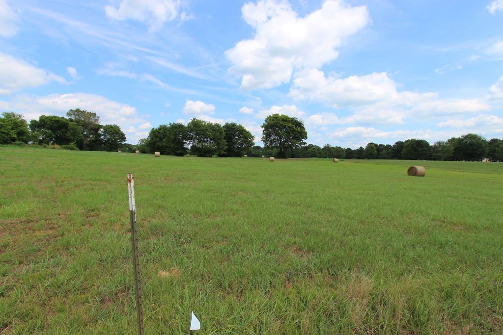 2365 E Oak  Conway, AR