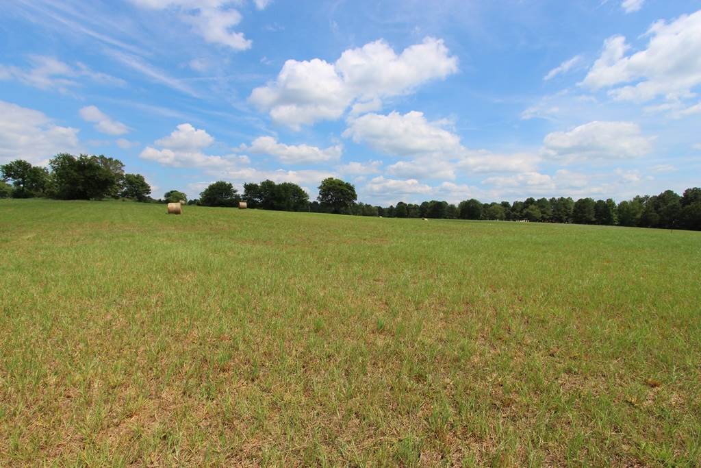 2365 E Oak  Conway, AR