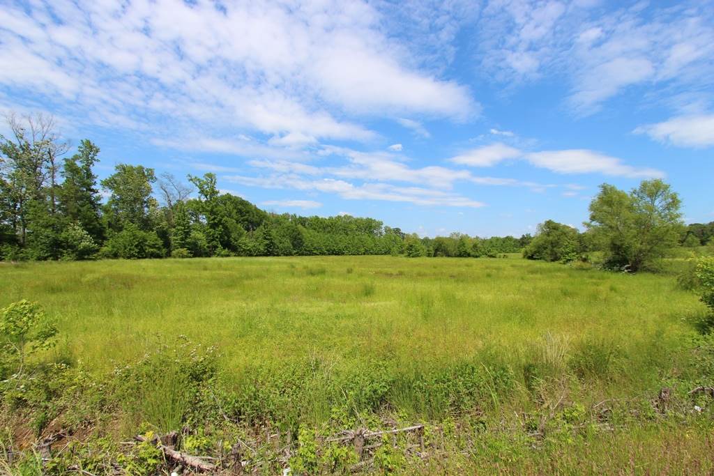 650 S Hogan  Conway, AR