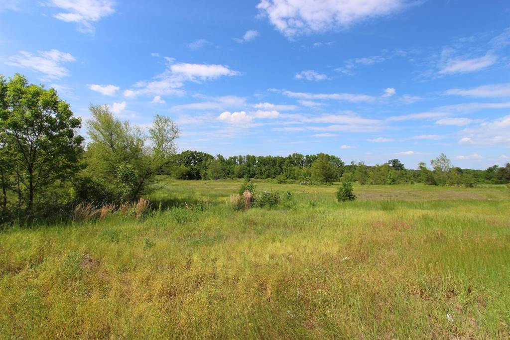 650 S Hogan  Conway, AR