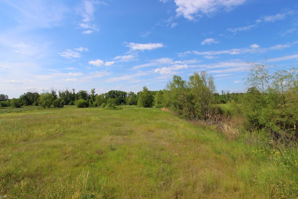 650 S Hogan  Conway, AR