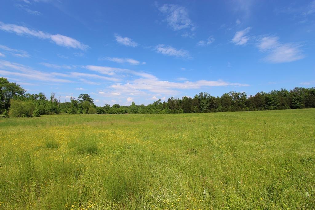 650 S Hogan  Conway, AR
