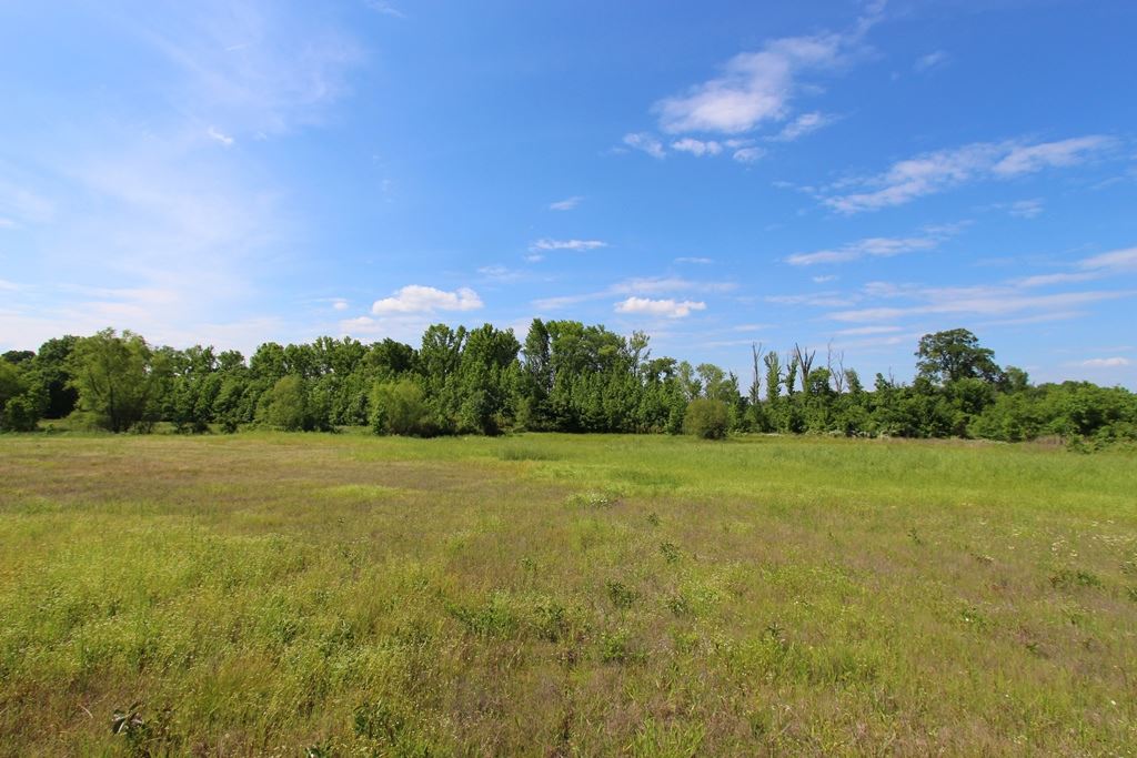 650 S Hogan  Conway, AR
