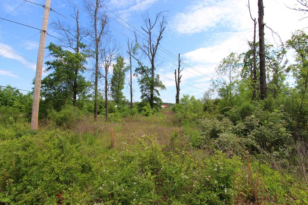 665 S Hogan  Conway, AR