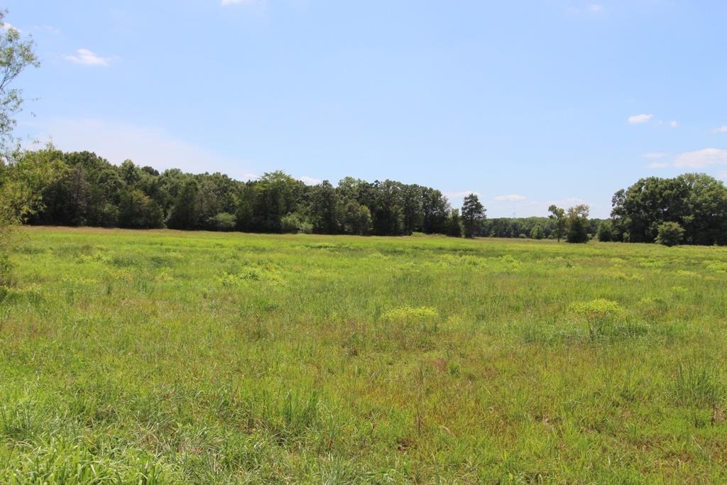 4015  Dave Ward  Conway, AR