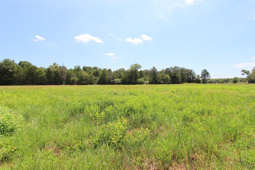4015  Dave Ward  Conway, AR