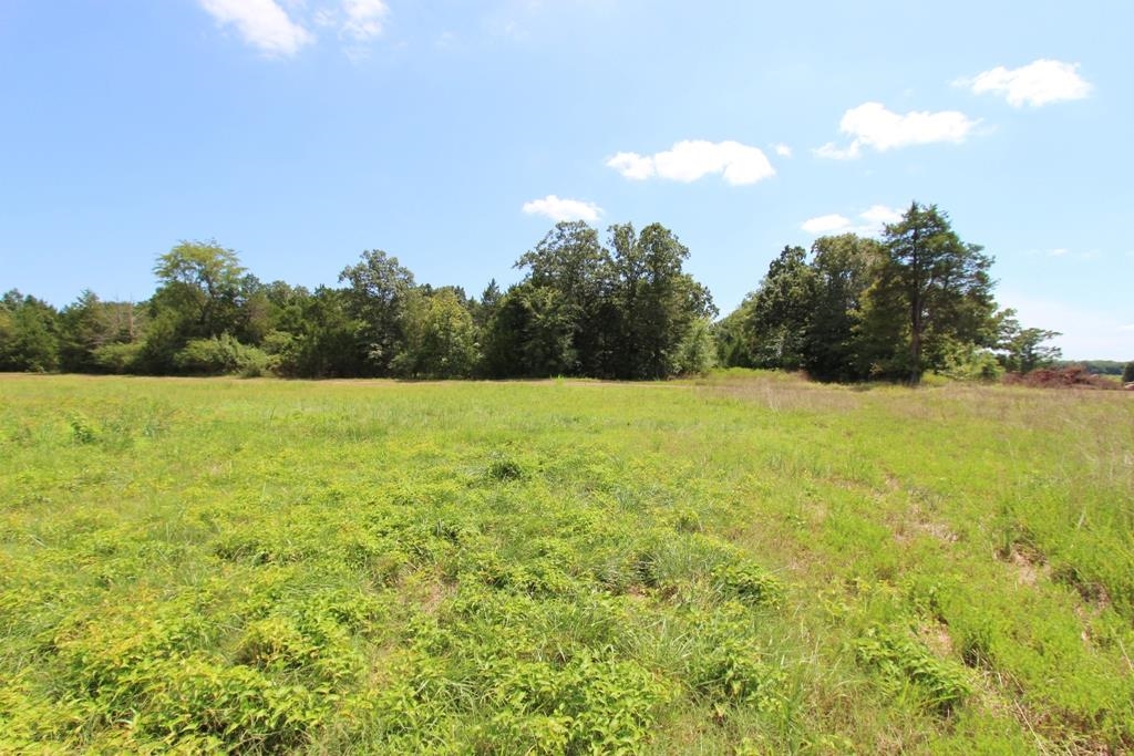 4015  Dave Ward  Conway, AR