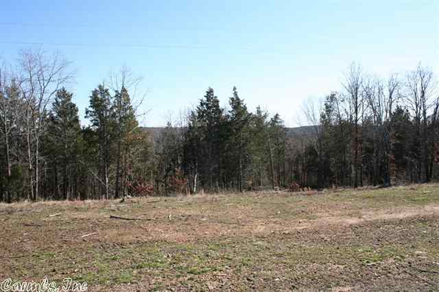 3795  Donnell Ridge  Conway, AR