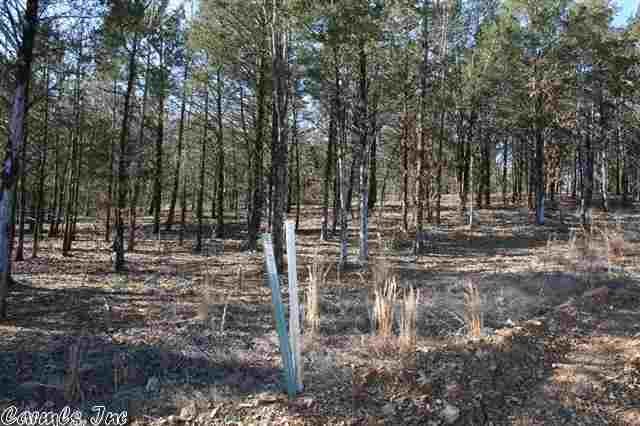 3795  Donnell Ridge  Conway, AR