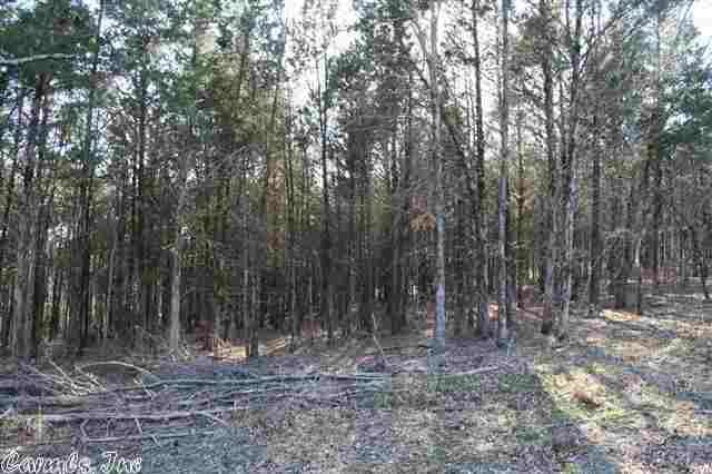 3795  Donnell Ridge  Conway, AR