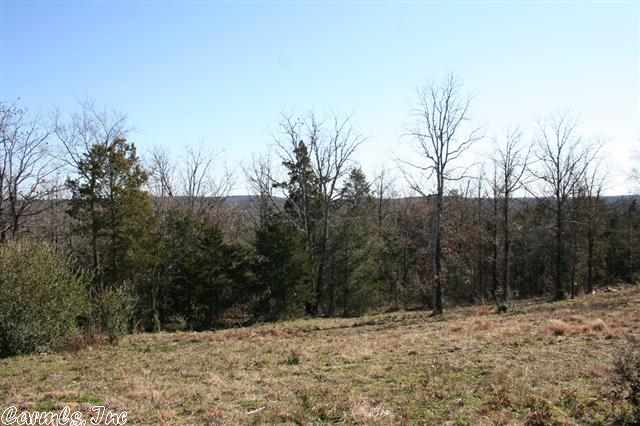 3795  Donnell Ridge  Conway, AR