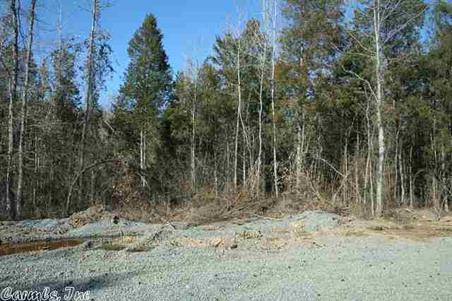 3825 Donnell Ridge  Conway, AR