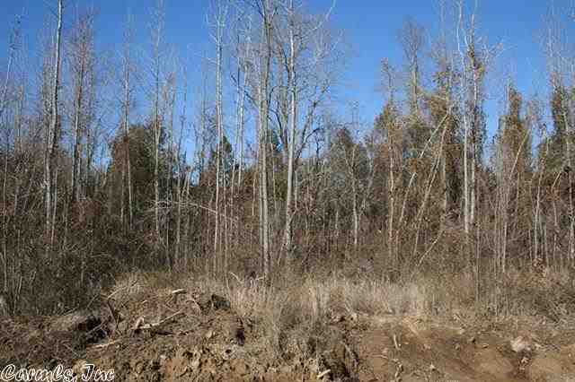 3825 Donnell Ridge  Conway, AR