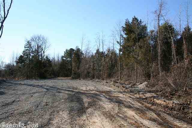 3825 Donnell Ridge  Conway, AR