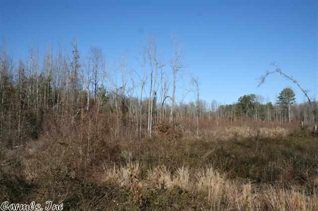 3825 Donnell Ridge  Conway, AR
