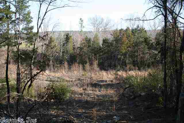 3825 Donnell Ridge  Conway, AR