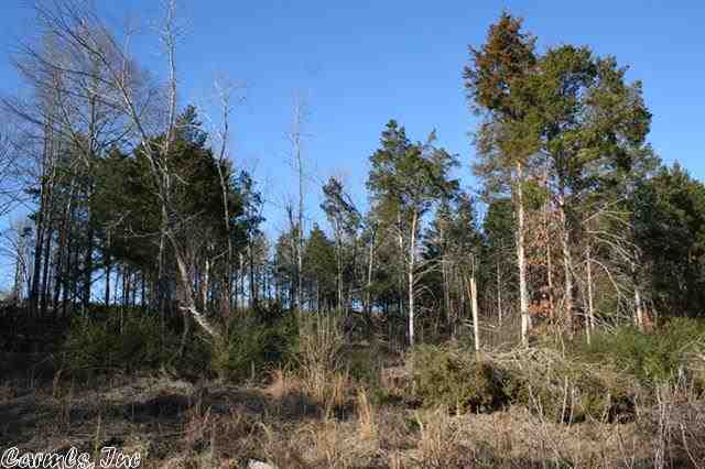 3825 Donnell Ridge  Conway, AR